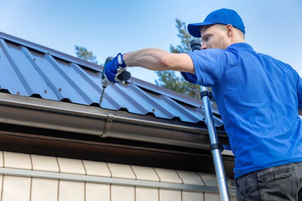 Best Asphalt Shingle Roofing  in North Branch, MI