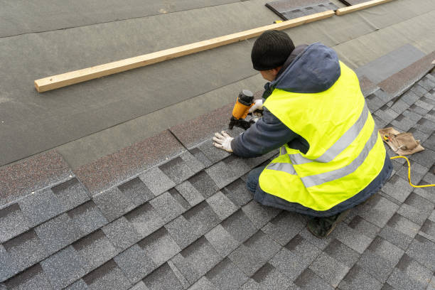 Best Hot Roofs  in North Branch, MI