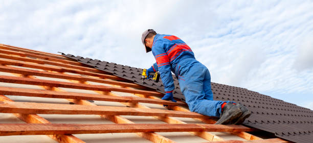 Best Commercial Roofing Services  in North Branch, MI