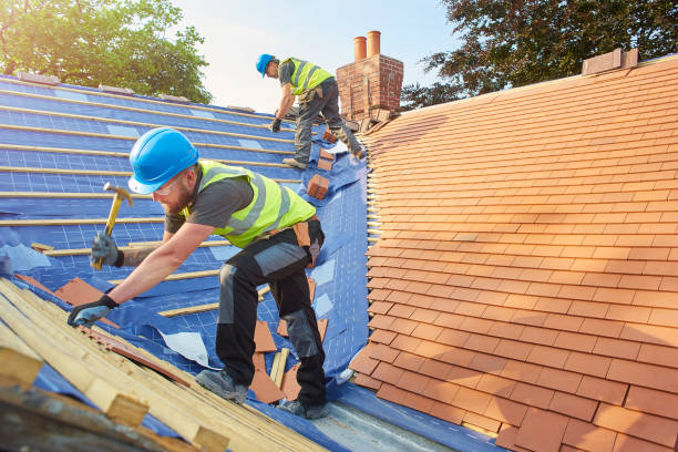 Sheet Metal Roofing in North Branch, MI
